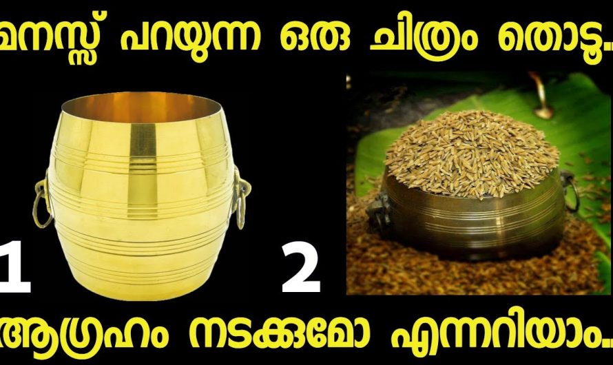 നിങ്ങൾക്ക് വരാൻ പോകുന്ന ഭാഗ്യങ്ങൾ അറിയാം. മനസ്സ് പറയുന്ന ഒരു ചിത്രം തൊടൂ..