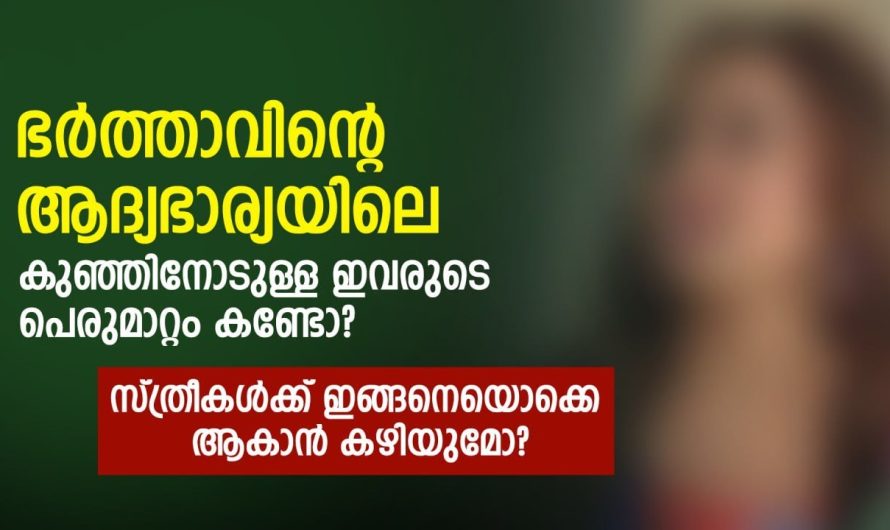 സ്ത്രീകൾക്ക് ഇങ്ങനെയൊക്കെ ആകാൻ കഴിയുമോ? എല്ലാവരും കേട്ടിരിക്കേണ്ടത്…