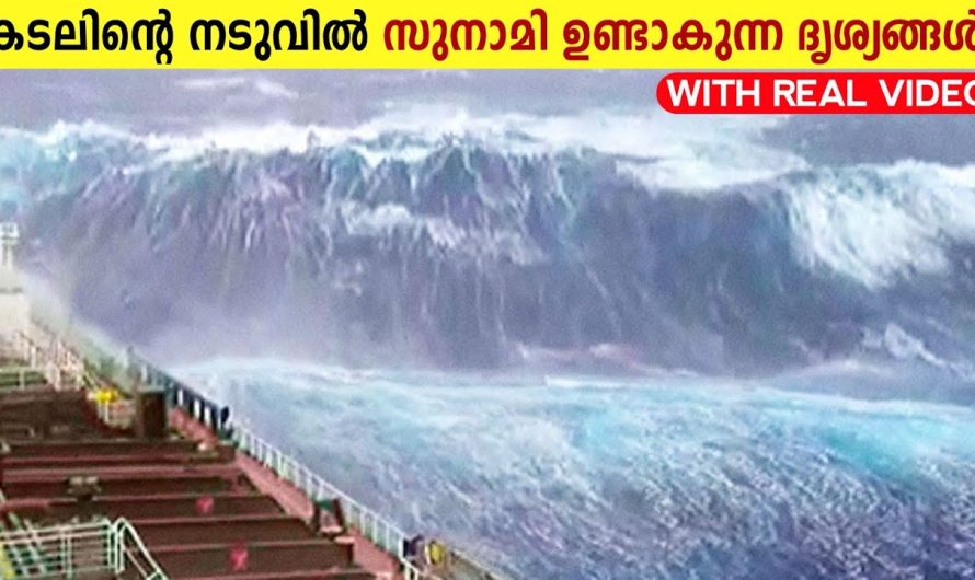 സുനാമി രൂപം കൊള്ളുന്ന ഞെട്ടിക്കുന്ന ദൃശ്യങ്ങൾ!😱