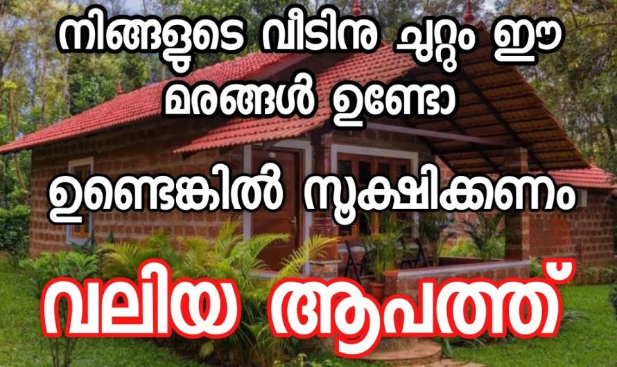 വീടിന്റെ ഈ ഭാഗത്ത് ഈ മരങ്ങൾ ഒരിക്കലും പാടില്ല  വലിയ ആപത്ത് 🙏🙏