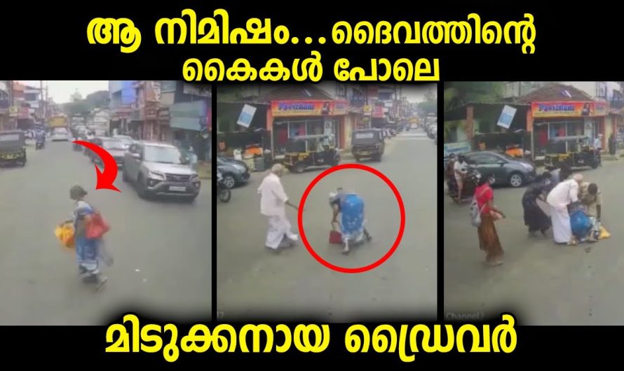 ആ നിമിഷം മിടുക്കനായ ഡ്രൈവർക്ക് ബ്രേക്ക് ചവിട്ടാൻ തോന്നി…ദൈവത്തിന്റെ കൈകൾ പോലെ