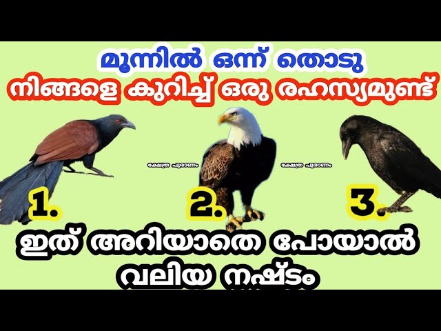 ഇതറിഞ്ഞാൽ ജീവിതം രക്ഷപ്പെടും 100% ഉറപ്പ്. തൊടുകുറി