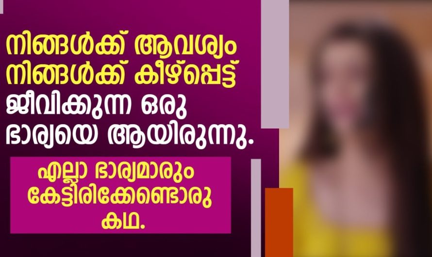 എല്ലാ ഭാര്യമാരും കേട്ടിരിക്കേണ്ട ഒരു കഥ…