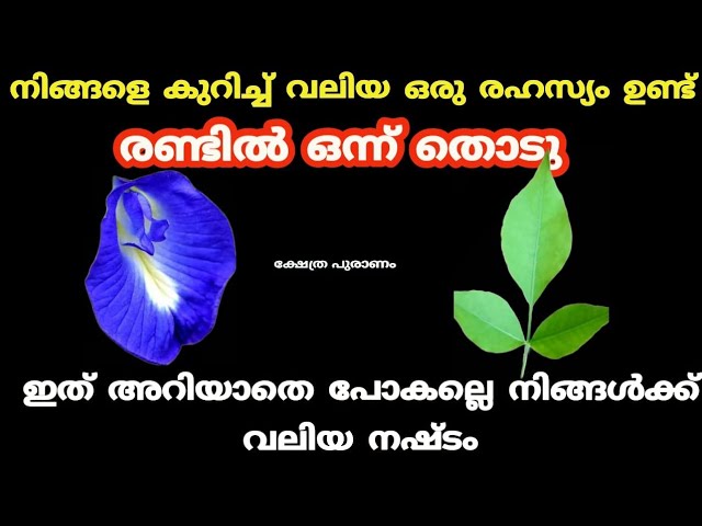 ഇതറിയുന്നവരുടെ ജീവിതം രക്ഷപ്പെടും 100% ഉറപ്പ്