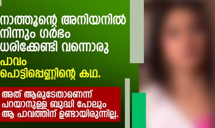 നാത്തൂന്റെ അനിയനിൽ നിന്നും ഗ.ർഭം ധരിക്കേണ്ടി വന്നൊരു പാവം പൊട്ടിപ്പെണ്ണിന്റെ കഥ