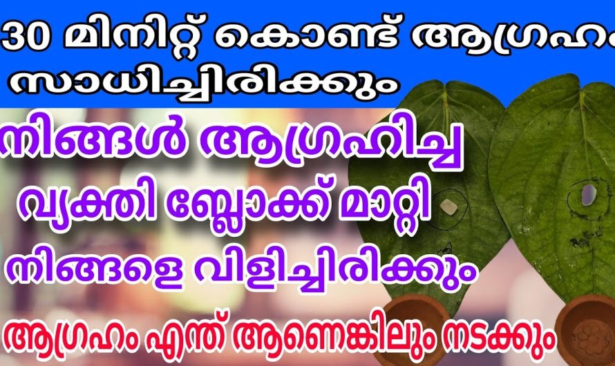 ആഗ്രഹിച്ച കാര്യം എന്ത് തന്നെ ആണെങ്കിലും നടന്നു കിട്ടും ! 100% പേർക്കും അനുഭവം