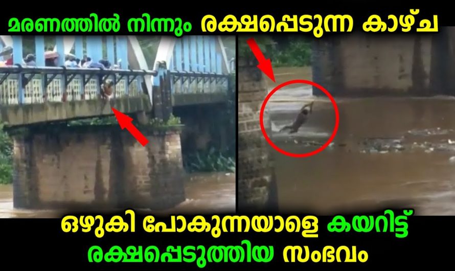 ഇതാണ് ശരിക്കും ഭാഗ്യവാൻ…വെള്ളത്തിൽ ഒഴുകിപ്പോകുന്നയാളെ രക്ഷപ്പെടുത്തുന്ന കാഴ്ച