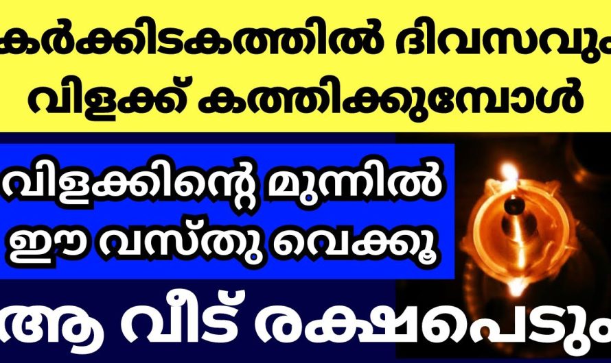 ഇന്ന് മുതൽ 32 ദിവസം നിലവിളക്കിന്‌ മുന്നിൽ ഈ വസ്തു വെച്ച് പ്രാർത്ഥിക്കൂ, ഐശ്വര്യവും സമൃദ്ധിയും നിറയും