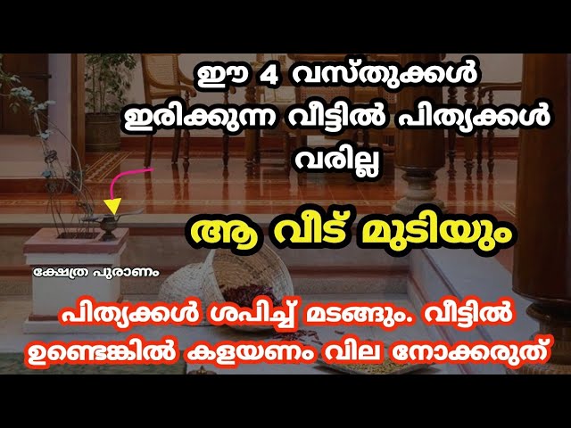 വീട്ടിൽ ഈ 2 വസ്തുക്കൾ ഉണ്ടോ? ബലി ഇട്ടിട്ട് ഫലം ഇല്ല ദുരിതം മാത്രം..