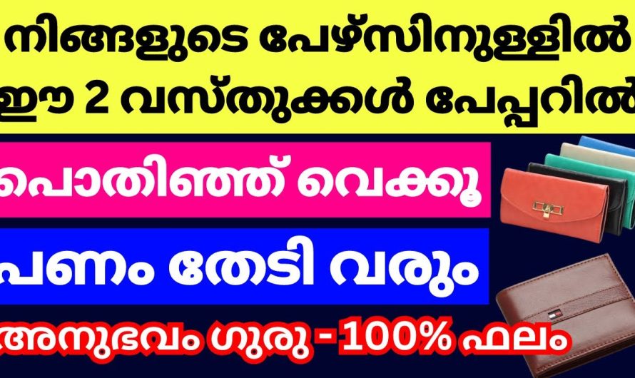 ഒരു പേപ്പറിൽ പൊതിഞ്ഞ് ഈ 2 വസ്തുക്കൾ പേഴ്സിനുള്ളിൽ വെക്കൂ, സമ്പത്തും പണവും നിങ്ങളെ തേടി വരും