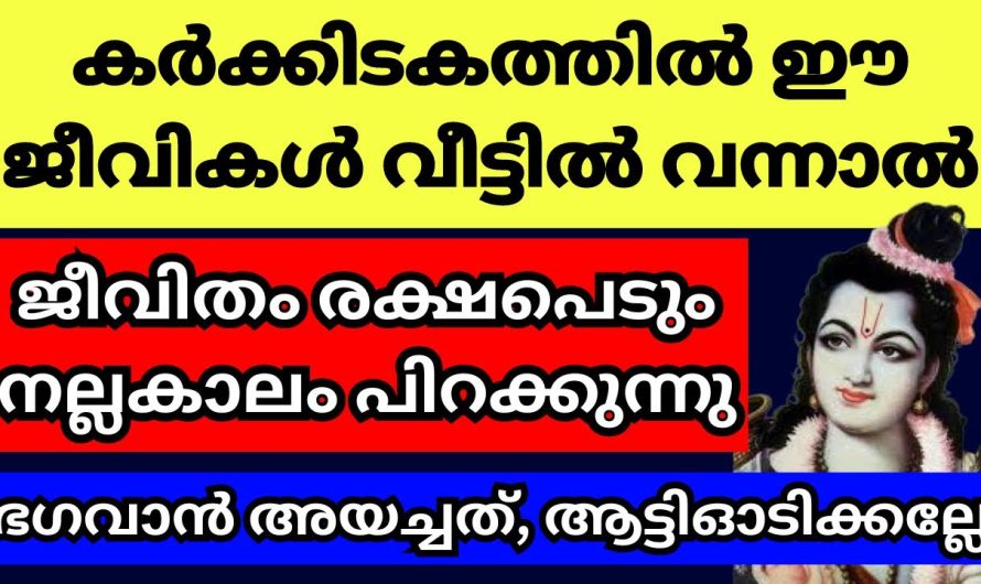 ഈ രാമായണ കാലത്ത് വീട്ടിലോ പരിസരത്തോ ഈ ജീവികളെ കണ്ടാൽ ആട്ടി പായിക്കല്ലേ,