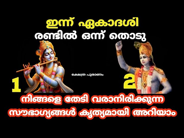 ഇന്ന് ഏകാദശി നിങ്ങളെ തേടി വരാനിരിക്കുന്ന സൗഭാഗ്യങ്ങൾ അറിയാം.