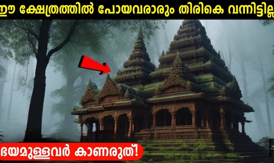 ഒറ്റക്കിരുന്ന് കാണരുത്!⚠️😱 ഇന്ത്യയിലെ നിഗൂഢമായ സ്ഥലങ്ങൾ!