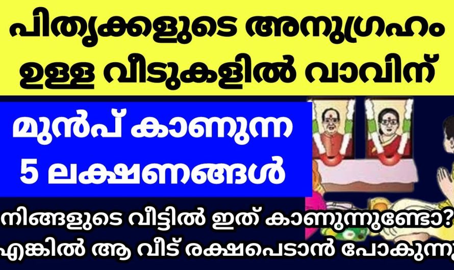 കർക്കിടക വാവിന് മുൻപ് പിതൃക്കളുടെ അനുഗ്രഹം വീടുകളിൽ കാണിക്കുന്ന 6 ശുഭ ലക്ഷണങ്ങൾ