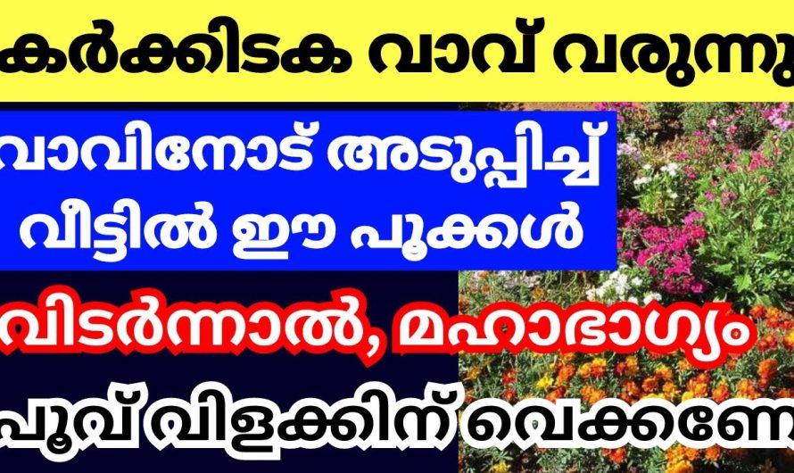 കർക്കിടക വാവിനോട് അടുത്ത ദിവസങ്ങളിൽ ഈ പൂക്കൾ വിടരുന്നത് അതീവ ശുഭകരം,