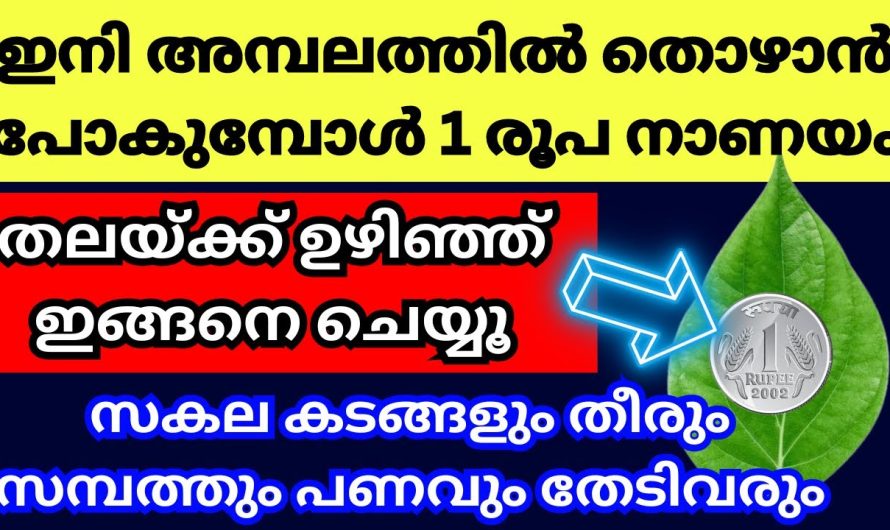 ഇനി തൊഴാൻ പോകുമ്പോൾ നാണയം ഇങ്ങനെ കാണിക്ക വഞ്ചിയിൽ സമർപ്പിച്ച് പ്രാർത്ഥിക്കൂ, സർവ്വൈശ്വര്യം ഫലം