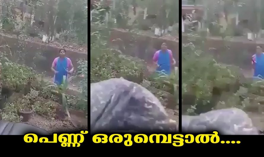 പെണ്ണ് ഒരുമ്പെട്ടാൽ …..