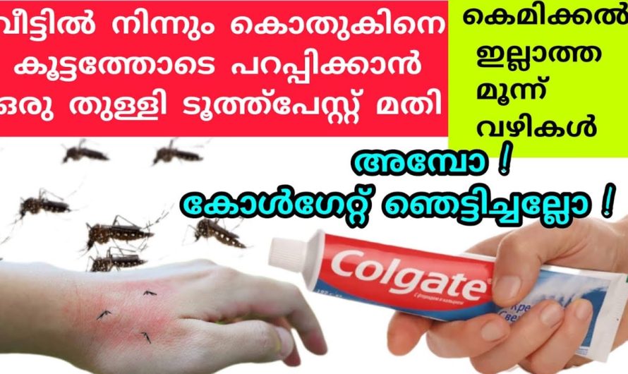 ഒരു തുള്ളി ടൂത്ത് പേസ്റ്റ് മതി കൊതുകിനെ വീട്ടിൽ നിന്നും കൂട്ടത്തോടെ പറപ്പിക്കാം