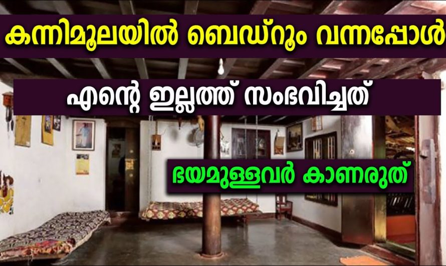 നിങ്ങൾക്ക് ഒരു പുതിയ വീട് നിർമിക്കാൻ പ്ലാൻ ഉണ്ടോ ഈ വീഡിയോ നിങ്ങൾക്ക് ഉപകാരപ്പെടും