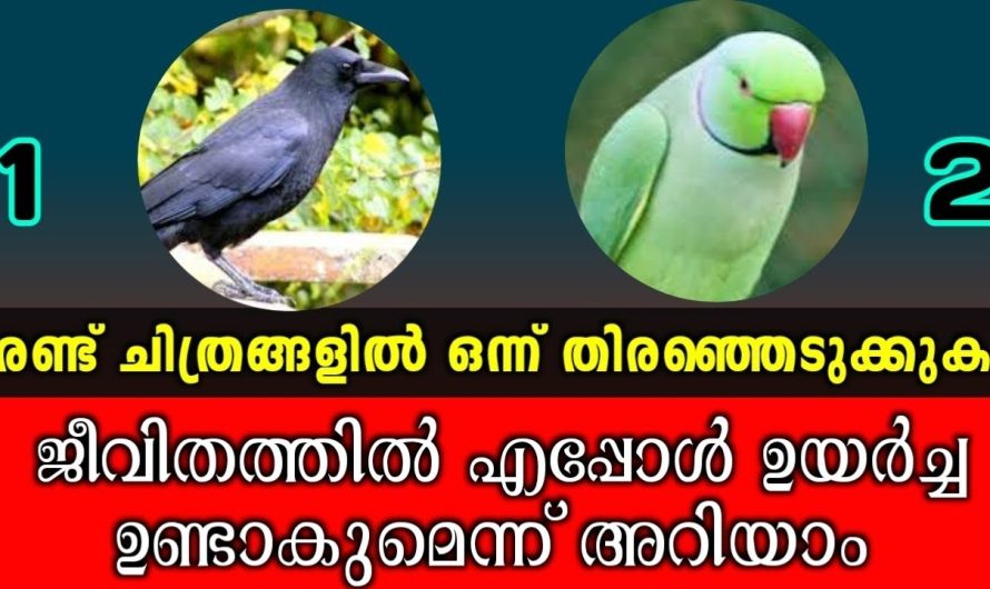 രണ്ടിൽ ഒരു ചിത്രം തൊടൂ… നിങ്ങൾ ആഗ്രഹിക്കുന്ന നേട്ടങ്ങൾ എപ്പോൾ സ്വന്തമാകും ?