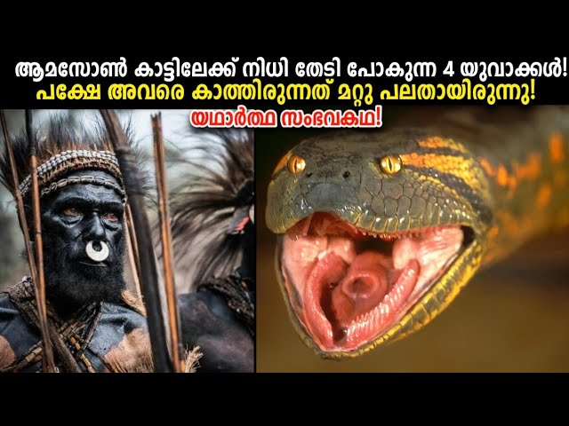 ആമസോണിലേക്ക് നിധി തേടി പോയ 4 യുവാക്കളുടെ സംഭവ കഥ!😦