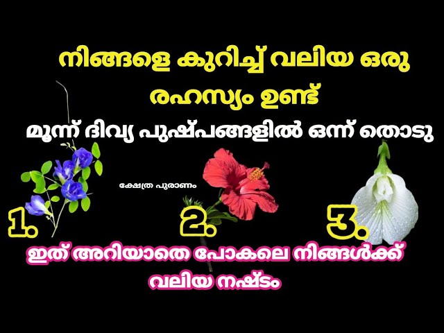 ഇത് അറിയുന്നവരുടെ ജീവിതം രക്ഷപ്പെടും 100% ഉറപ്പ്. തൊടുകുറി