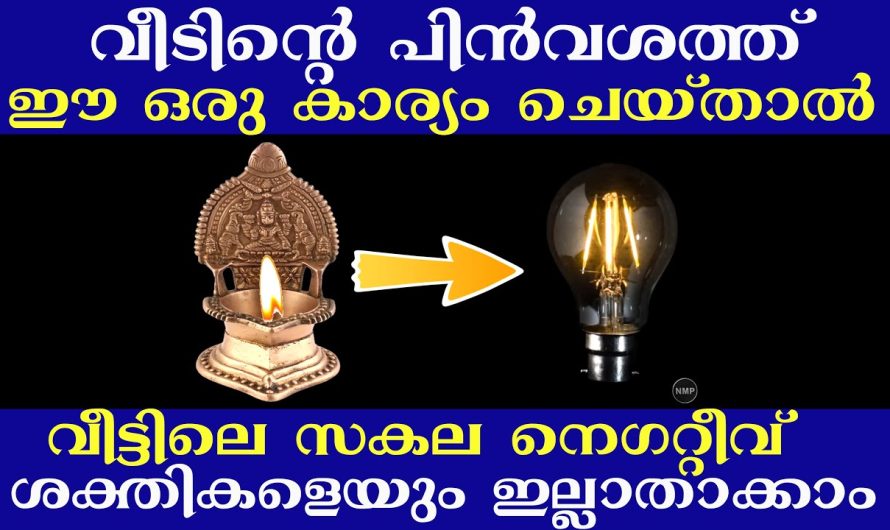 വീടിന്റെ പിൻവശത്ത് ഈ ഒരു കാര്യം ചെയ്‌താൽ വീട്ടിലെ സകല നെഗറ്റീവ് ശക്തികളെയും ഇല്ലാതാക്കാം,