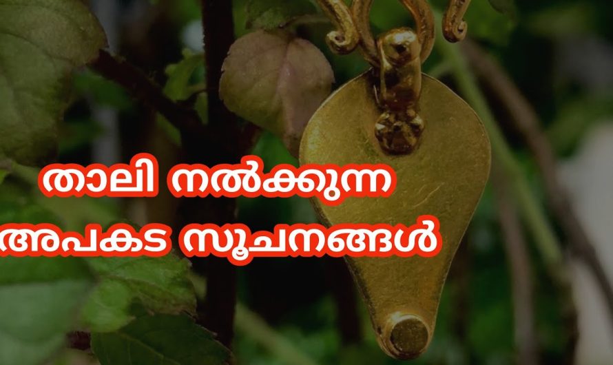 ഭർത്താവിന്റെ ആയുസ്സ് കുറയ്ക്കുന്ന കാര്യങ്ങൾ ഭാര്യമാർ ശ്രദ്ധിച്ചോളൂ…