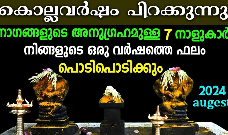 ഈ 7 നാളുകാർക്ക് ഇനി ഉയർച്ചയുടെ കാലം, ഇനി തോൽവി ഇല്ല