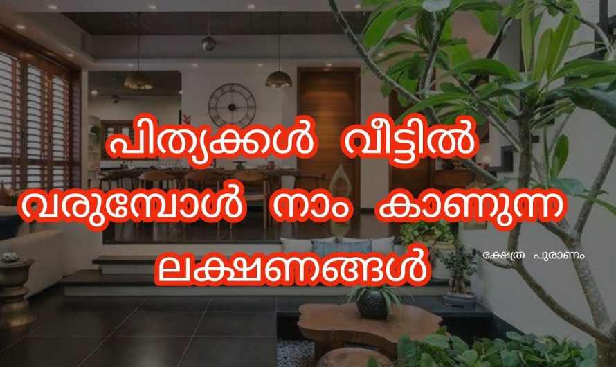 പിത്യക്കൾ വീട്ടിൽ വന്ന് പോകുന്നതിൻ്റെ ലക്ഷ്ണങ്ങൾ