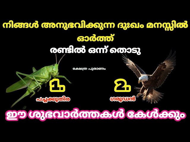 രണ്ടിൽ ഒന്ന് തൊടു ഈ ശുഭവാർത്തകൾ കേൾക്കാം. തൊടുകുറി