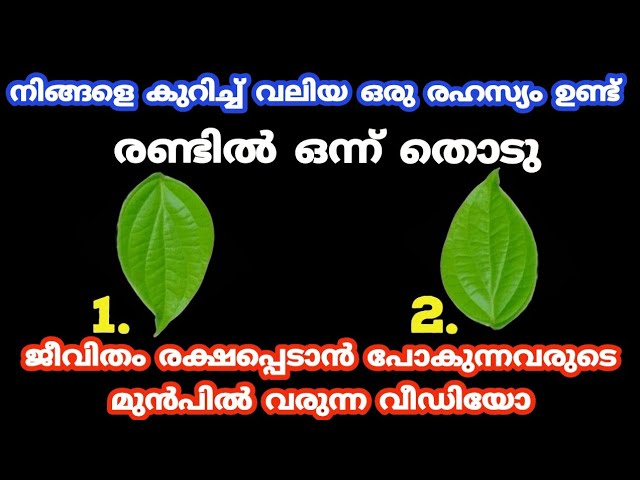 ജീവിതം രക്ഷപ്പെടാൻ പോകുന്നവർക്ക് മുൻപിൽ മാത്രം വരുന്ന വീഡിയോ.