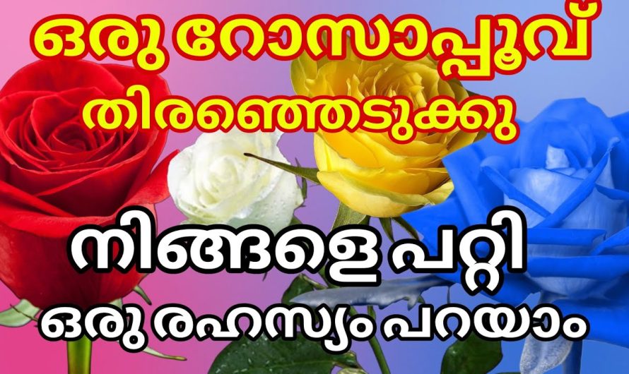 ഇതിലൊന്നിൽ തൊടു ഒരു രഹസ്യമുണ്ട് നിങ്ങളെ കുറിച്ച്