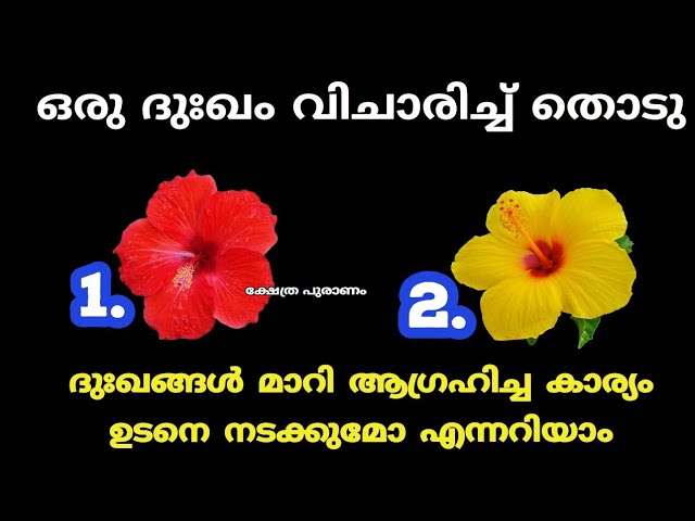 നിങ്ങൾ ആഗ്രഹിച്ച കാര്യങ്ങൾ ജീവിതത്തിൽ ഉടനെ വന്നെത്തുന്നു