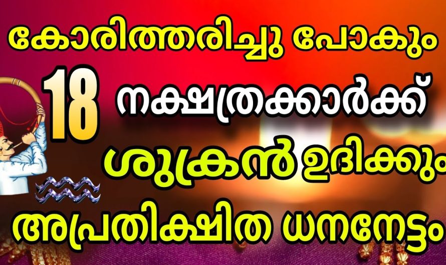 കേട്ടാൽ കോരിത്തരിച്ചു പോകും | നാളെ 18 നാളുകാർക്ക് ശുക്രൻ ഉദിക്കും !