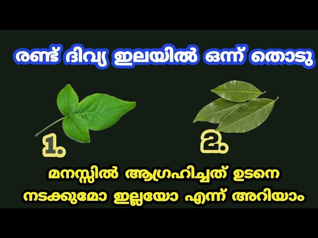 മനസ്സിൽ ആഗ്രഹിച്ചത് ഉടനെ നടക്കുമോ ഇല്ലയോ എന്ന് അറിയാം