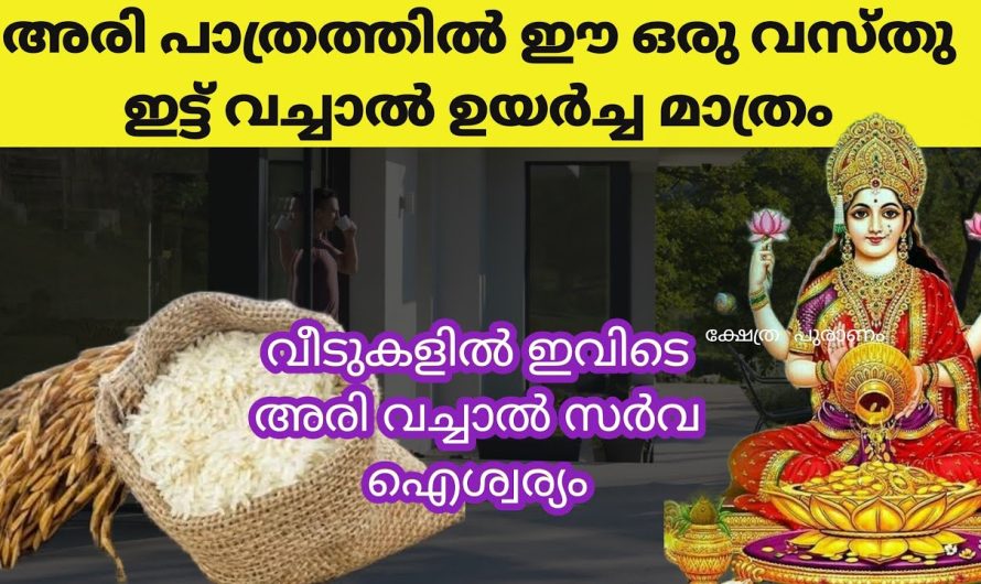 11 അരി ഇപ്രകാരം സമർപ്പിച്ചാൽ ലക്ഷ്മി ദേവി സർവ്വതും നേടി തരും