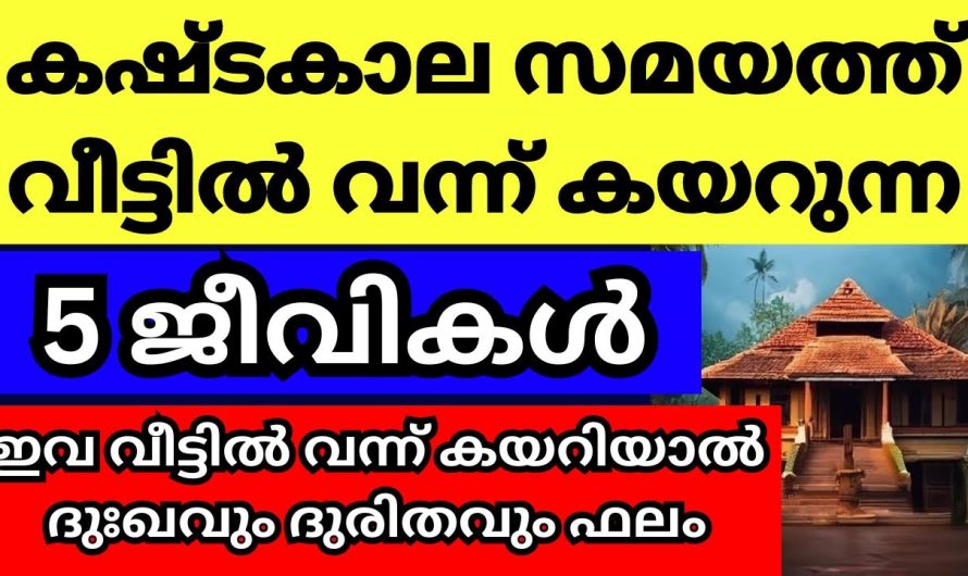 ഈ 5 പക്ഷിമൃഗദികൾ വീട്ടിൽ വന്ന് കയറുന്നത് മോശം സമയത്ത്, ശ്രദ്ധിക്കണം