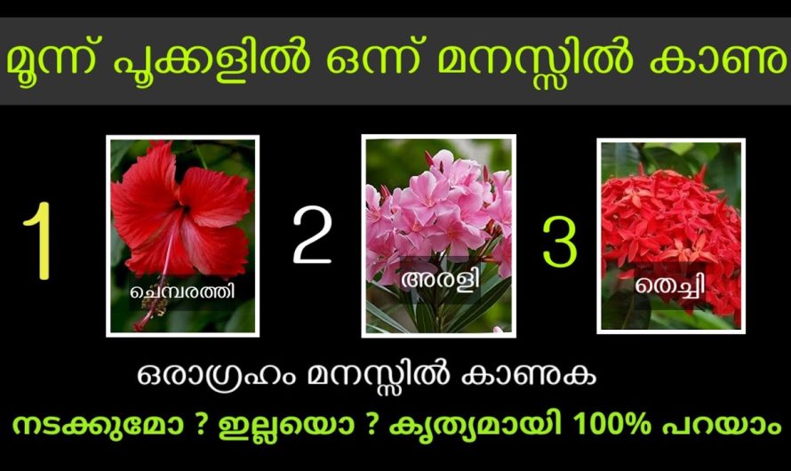 മനസ്സിലുള്ള ഒരു കാര്യം നടക്കുമോ ? ഇല്ലയൊ എന്ന് 90% കൃത്യമായി അറിയാം