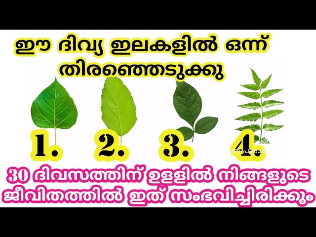 30 ദിവസം കൊണ്ട് ഈ ഒരു അൽഭുതം ജീവിതത്തിൽ നടക്കും തൊടുകുറി ശാസ്ത്രം