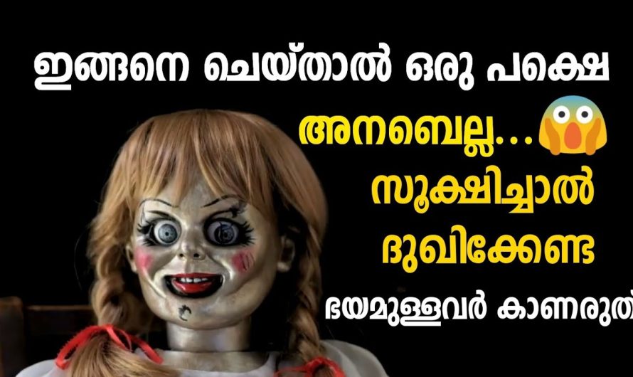 അനബെല്ല എന്ന പാവക്കുട്ടിയുടെ യഥാർത്ഥ കഥ ഇതാണ് 😱😱