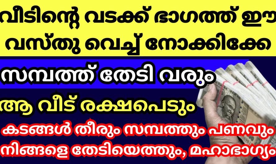 സാമ്പത്തിക ഉയർച്ച ആഗ്രഹിക്കുന്നവർ ചെയ്യേണ്ട വാസ്തു രഹസ്യം ഇത് മറക്കല്ലേ