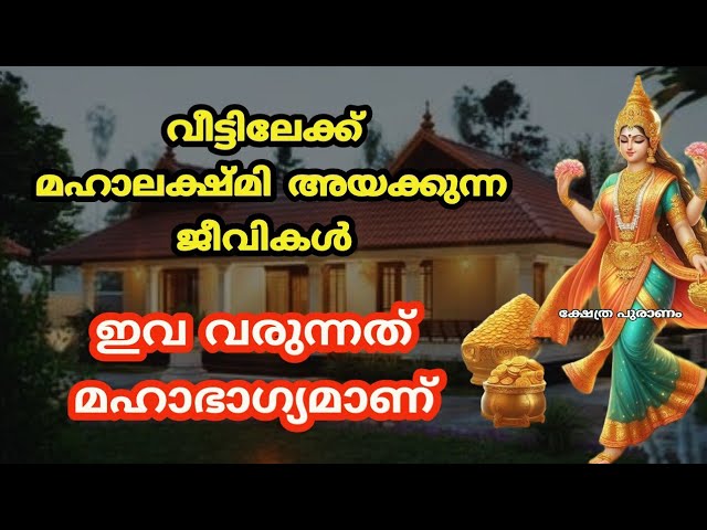 ഗ്യഹത്തിലേക്ക് മഹാലക്ഷ്മി അനുഗ്രഹവുമായി കടന്ന് വരുന്ന ജീവികൾ.