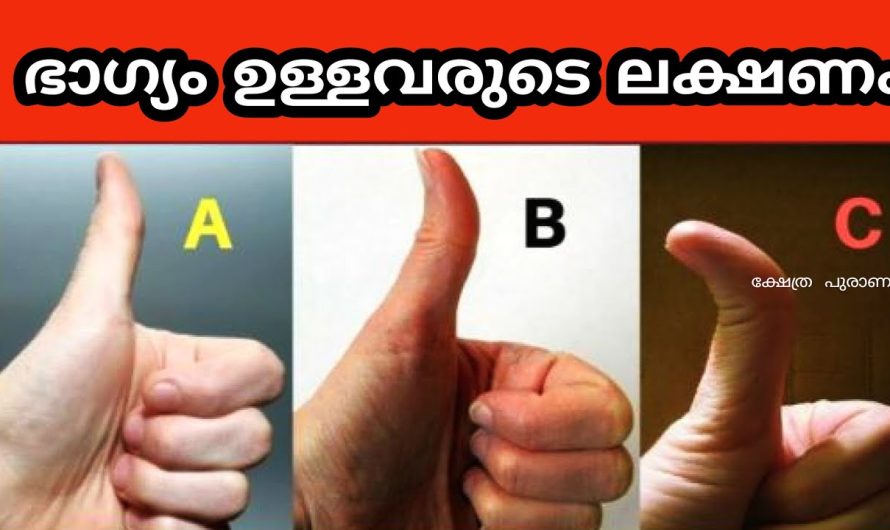 ഭാവി പ്രവചിക്കുന്ന പെരുവിരൽ പെരുവിരലിൽ ഒളിച്ചിരിക്കുന്ന ഭാഗ്യം