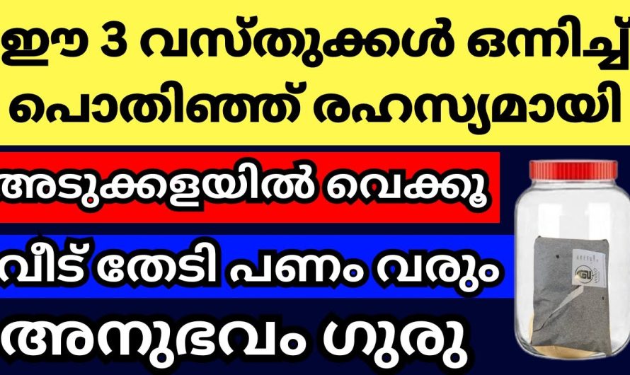 അടുക്കളയിൽ ഈ വസ്തുക്കൾ രഹസ്യമായി പൊതിഞ്ഞ് സൂക്ഷിക്കൂ, സമ്പത്തും പണവും വീട് തേടി വരും