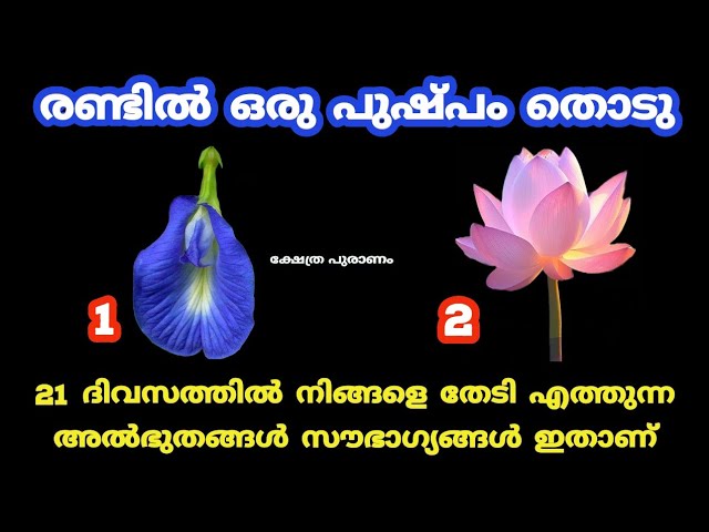 21 ദിവസത്തിൽ നിങ്ങളെ തേടി എത്തുന്ന അൽഭുതങ്ങൾ സൗഭാഗ്യങ്ങൾ ഇതാണ്