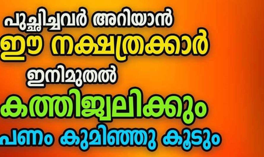 ‘ഇനി പരാജയം ഇല്ല..; ‘ ഈ ‘7’ നാളുകാർക്ക് നേട്ടങ്ങളുടെ കാലം!