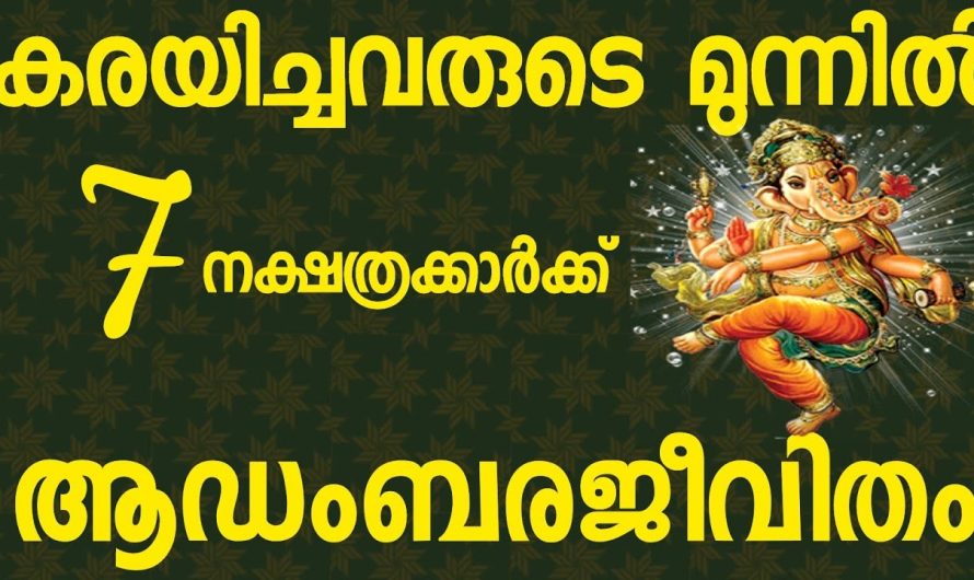 ചവിട്ടി താഴ്ത്തിയവരുടെ മുന്നിൽ ഈ നക്ഷത്രക്കാർ കുതിച്ചുയരും