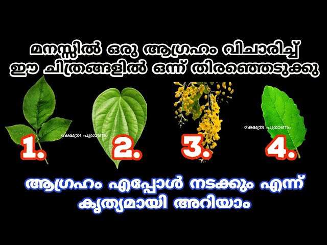 വിചാരിച്ച ആഗ്രഹം നടക്കുമോ ഇല്ലയോ എന്ന് അറിയാം