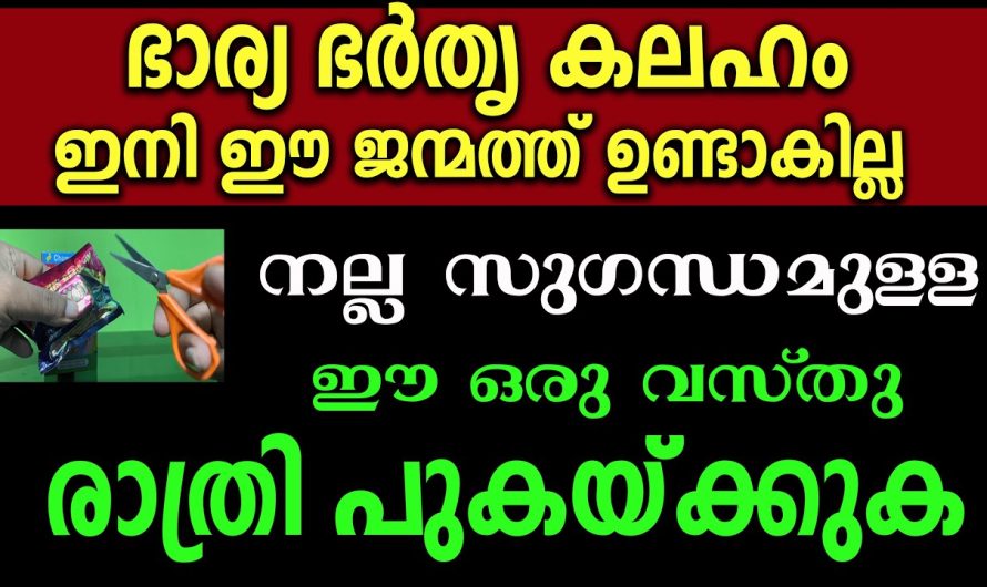 വീട്ടിൽ കലഹം ഒരിക്കലും ഉണ്ടാകില്ല,ഈ ഒരു വസ്തു രാത്രി പുകയ്ക്കു,